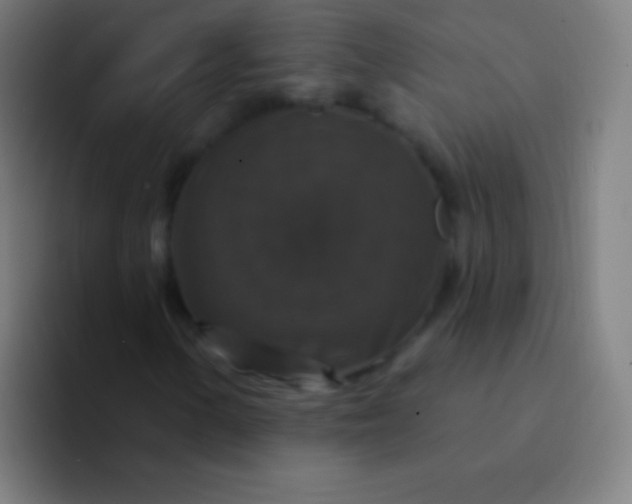 X0000094351154200711162024