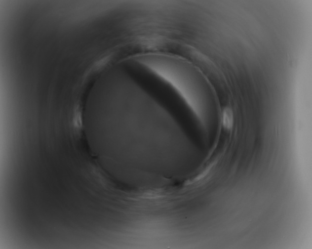 X0000094351155200711162024