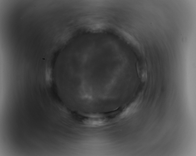 X0000094351156200711162024