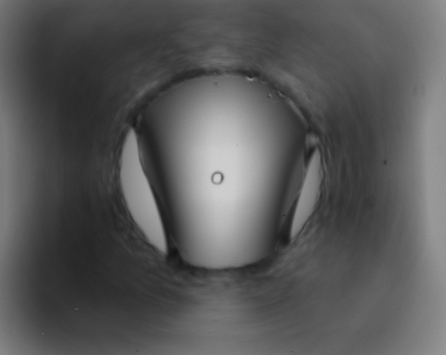 X0000094351157200711162024