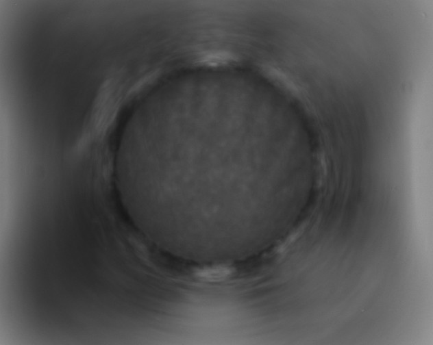 X0000094351158200711162024