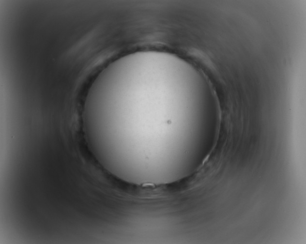 X0000094351159200711162024