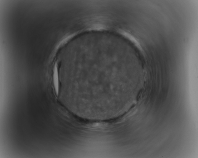 X0000094351160200711162024