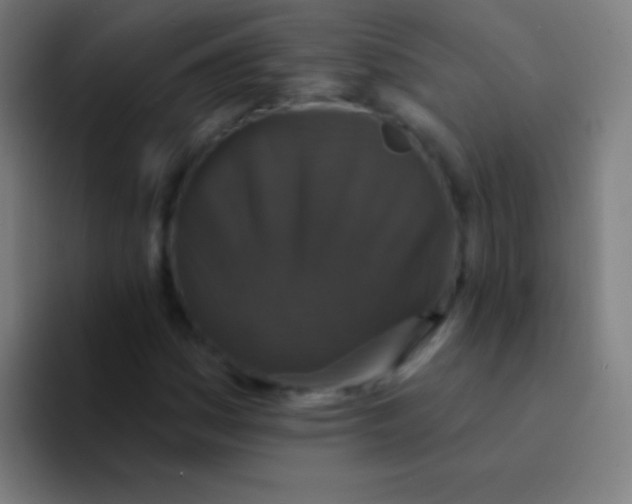 X0000094351161200711162024