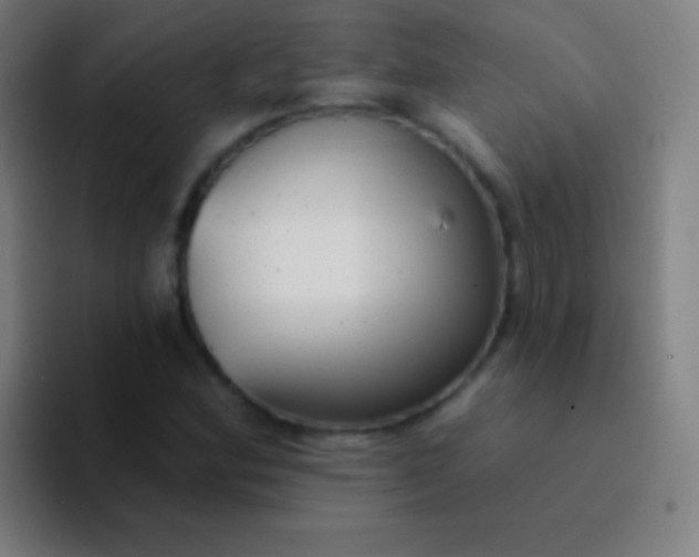 X0000094351164200711162024