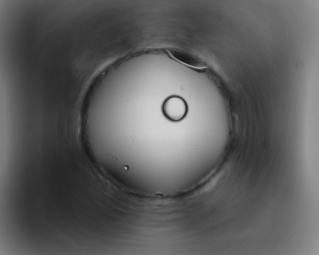 X0000094351165200711162024