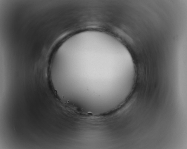 X0000094351166200711162024