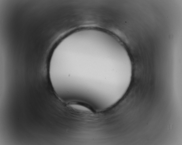 X0000094351167200711162024