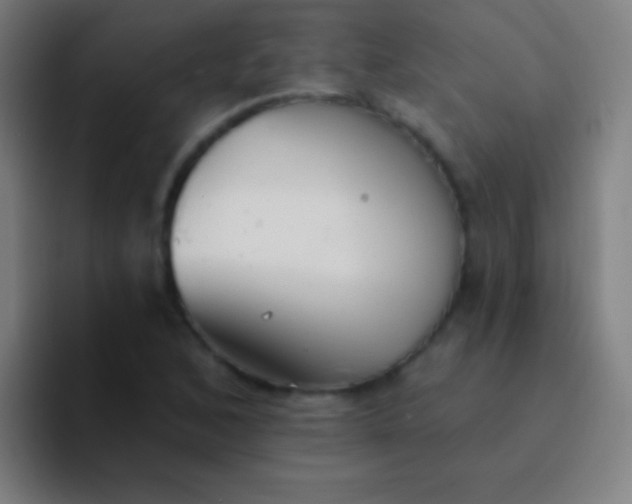 X0000094351168200711162024