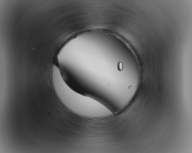 X0000094351169200711162024