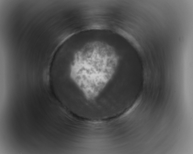 X0000094351170200711162024