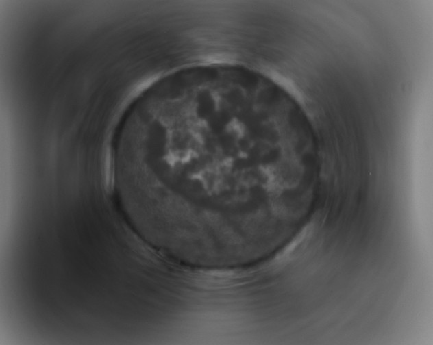 X0000094351171200711162024