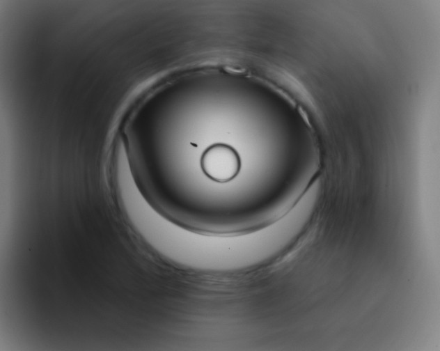 X0000094351172200711162024