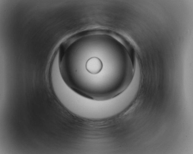 X0000094351173200711162024