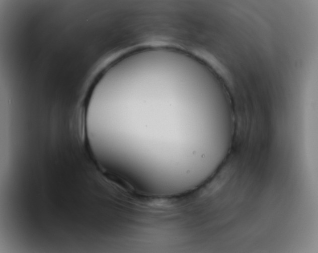 X0000094351175200711162024