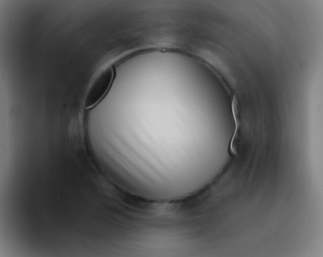 X0000094351176200711162024