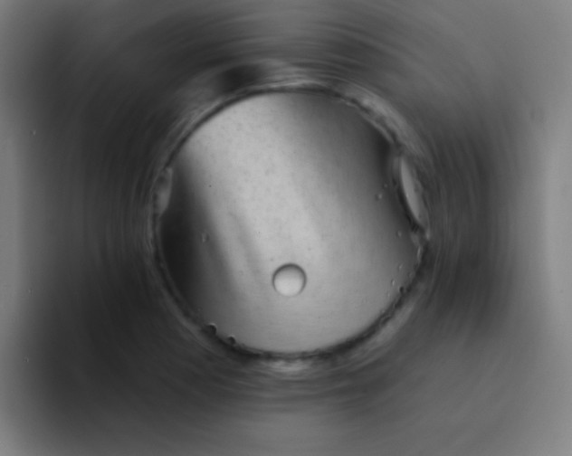 X0000094351177200711162024