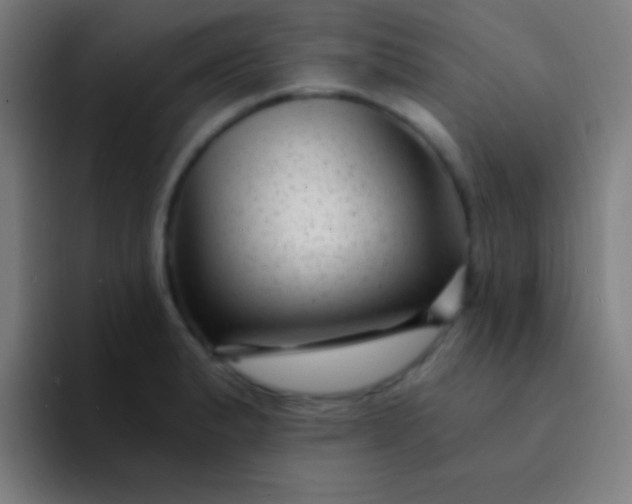 X0000094351183200711162024