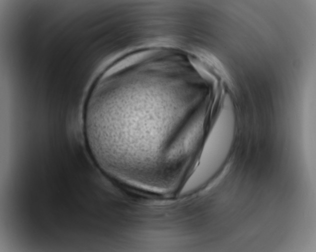 X0000094351184200711162024