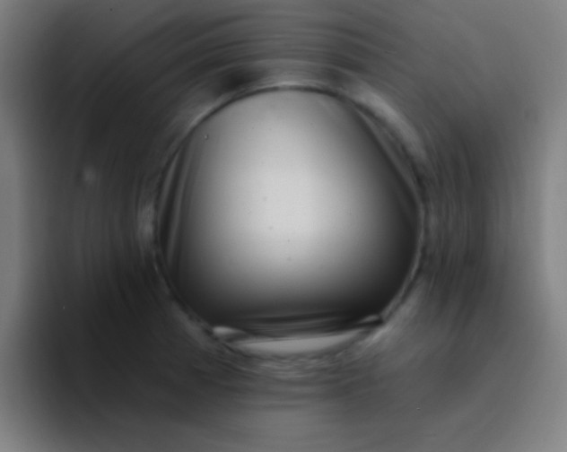 X0000094351185200711162024