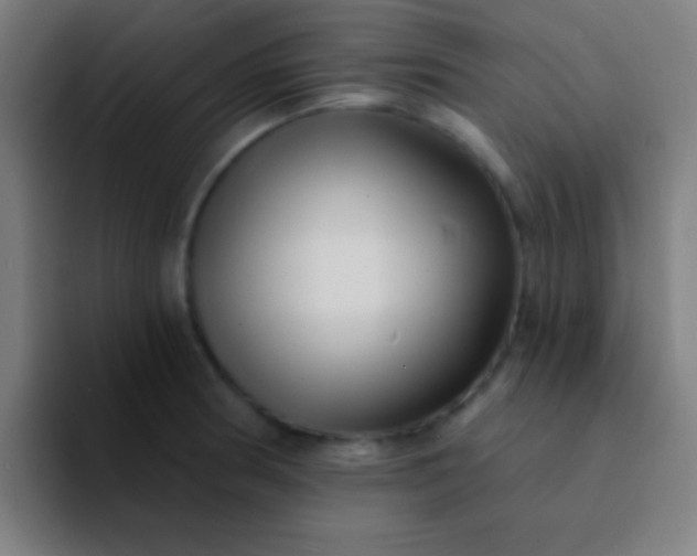 X0000094351186200711162024