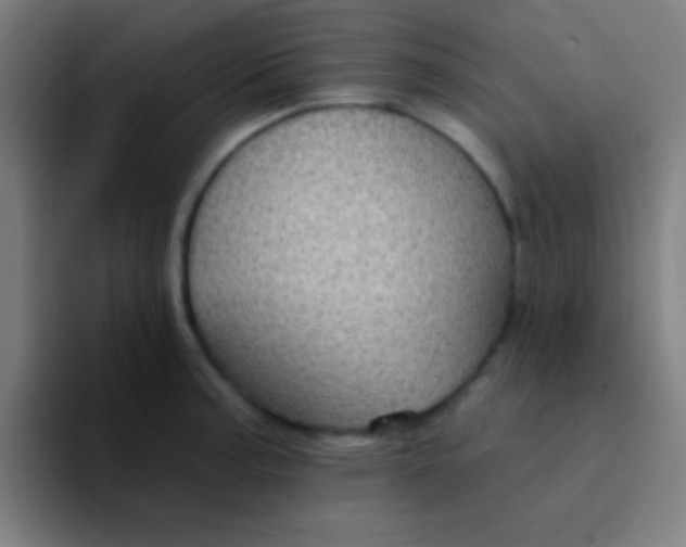 X0000094351187200711162024