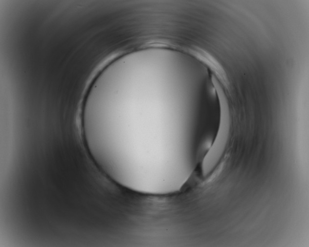 X0000094351190200711162024