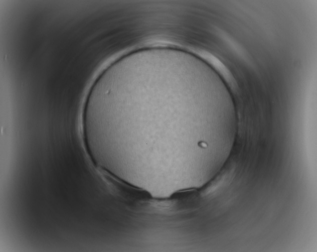 X0000094351191200711162024