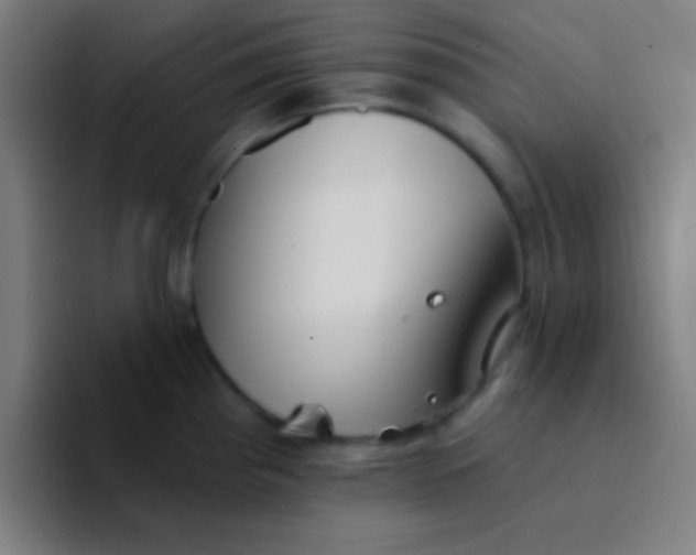 X0000094351193200711162024