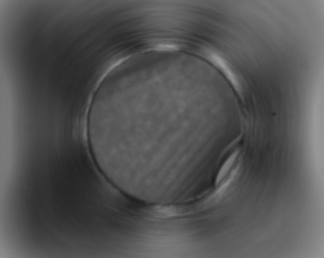 X0000094351194200711162024