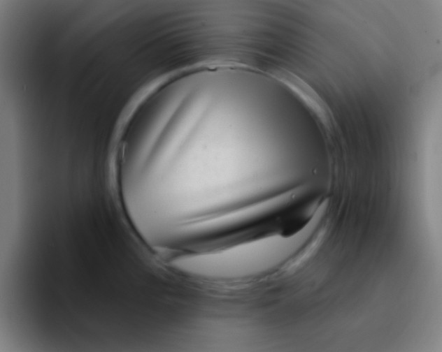 X0000094351196200711162023