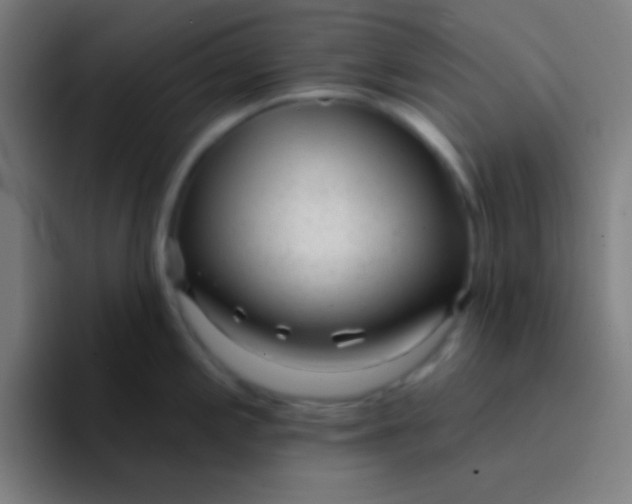 X0000094351197200711162023