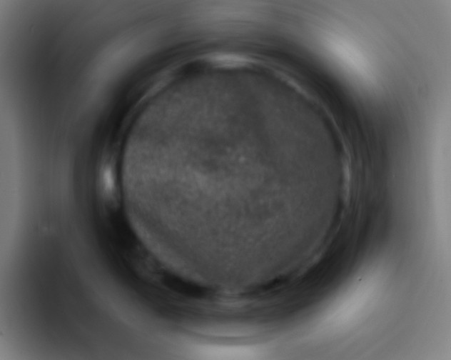 X0000094351198200711162023