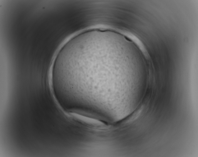 X0000094351199200711162023