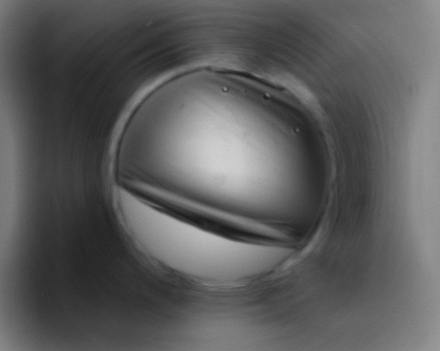 X0000094351200200711162023