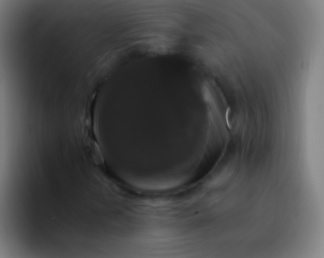 X0000094351202200711162023