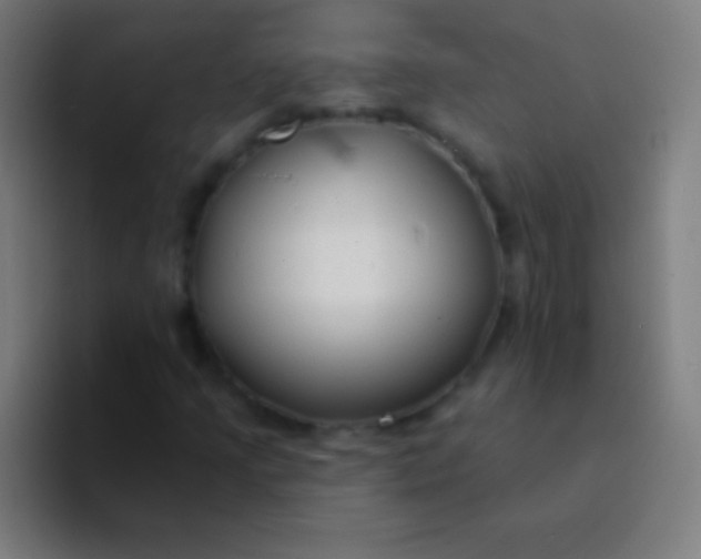 X0000094351205200711162023