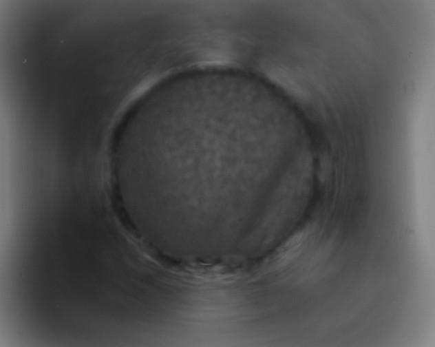 X0000094351208200711162023