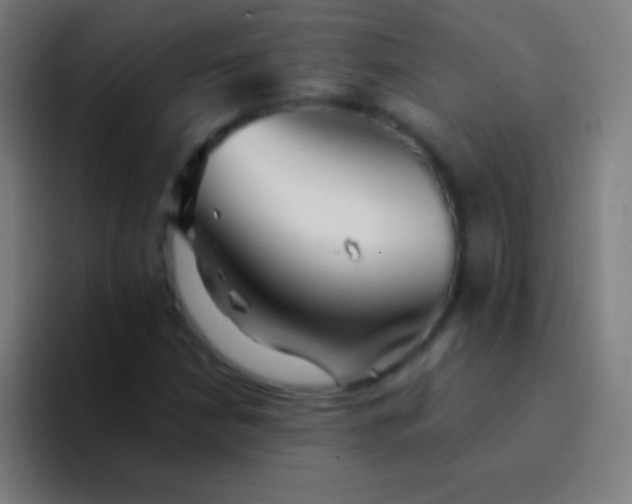 X0000094351210200711162023