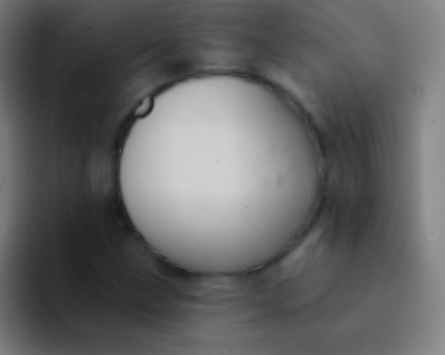 X0000094351211200711162023