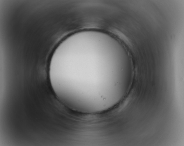 X0000094351212200711162023