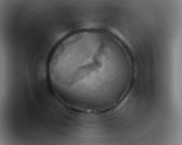 X0000094351213200711162023