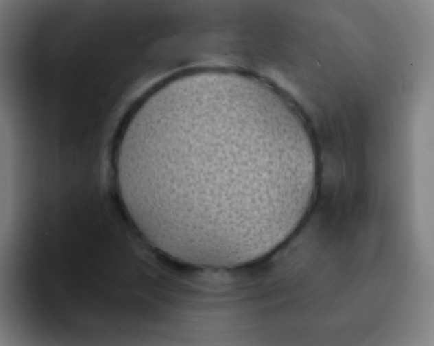 X0000094351215200711162023