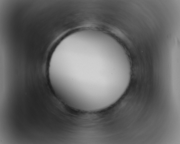 X0000094351216200711162023