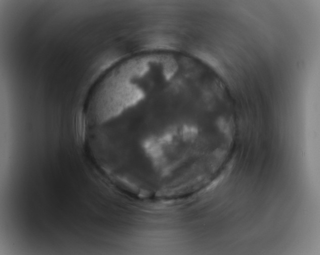 X0000094351219200711162023