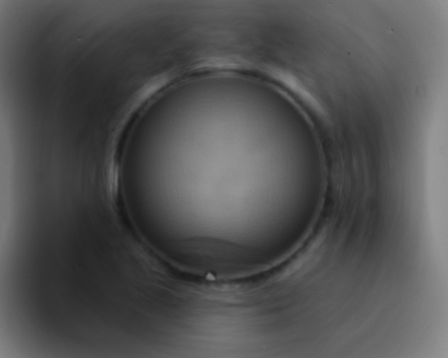 X0000094351221200711162023