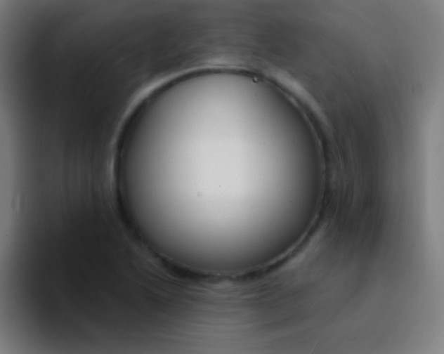 X0000094351222200711162023