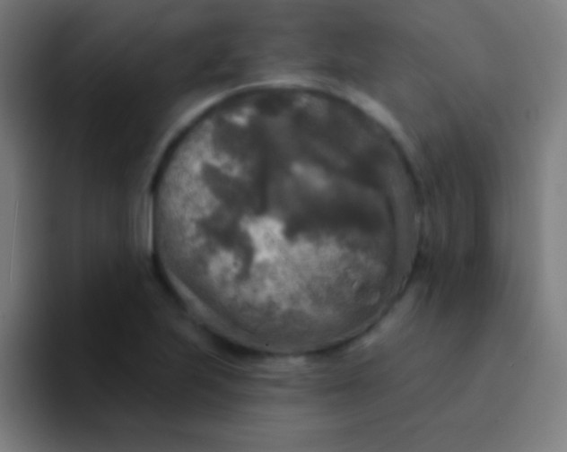 X0000094351223200711162023