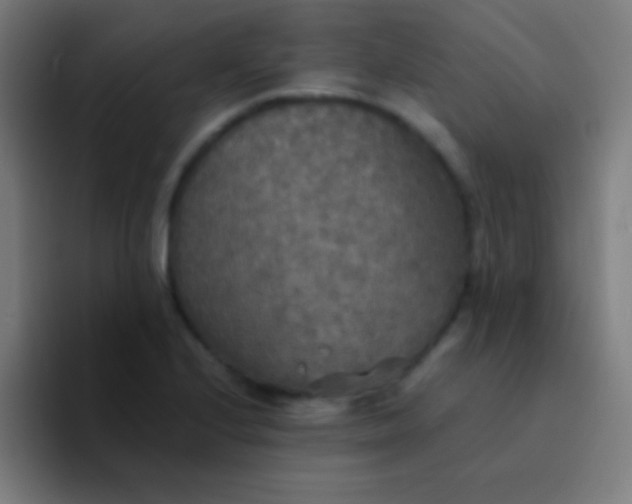 X0000094351224200711162023