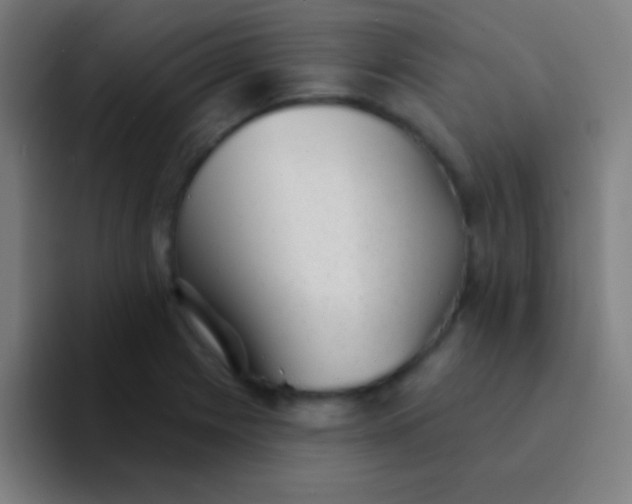 X0000094351225200711162023